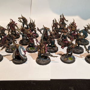A photo of a group shot of all of the pox walkers from the front.
